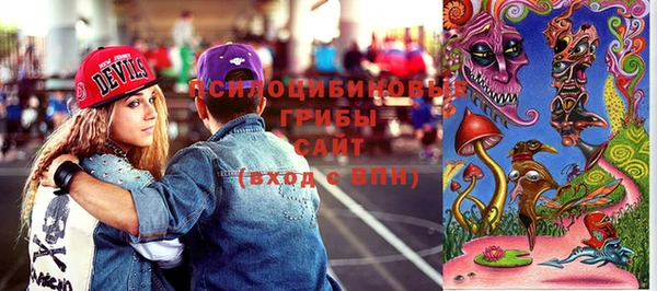 прущие грибы Балахна