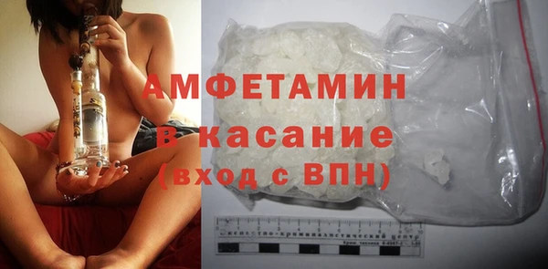 прущие грибы Балахна
