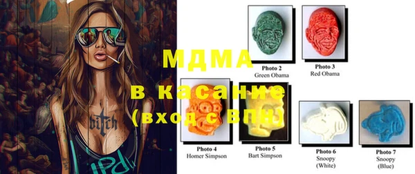 шишки Белокуриха