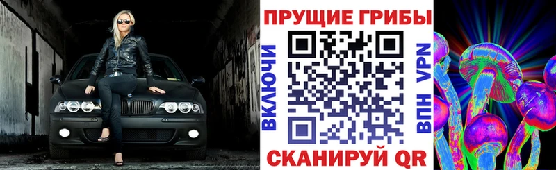 Галлюциногенные грибы ЛСД  Малоярославец 